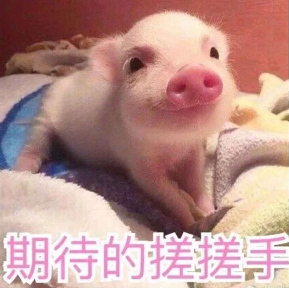 UG全球·(中国区)官方网站